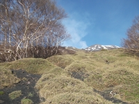 rra delle Concazze-201100508 002